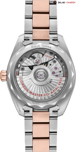 Часы Omega Seamaster Aqua Terra 220.25.34.20.60.001 фото фото 2