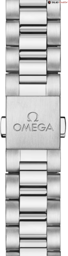 часы Omega Seamaster Aqua Terra 220.10.38.20.03.003 фото фото 4