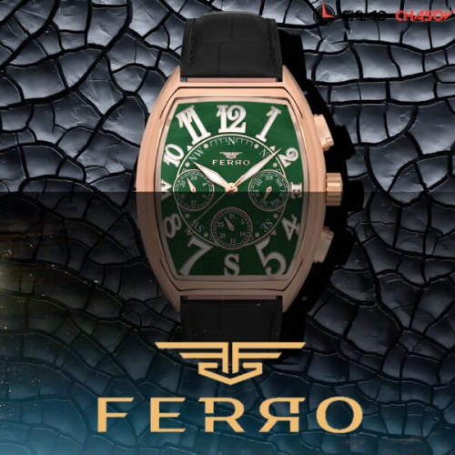 Наручные часы FERRO FM11447BWT-R10 фото фото 4