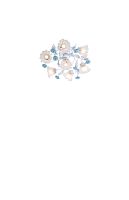 Lucia Tucci Fiori di rose 112.6.1 фото