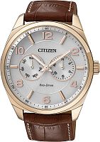 Citizen AO9024-16A фото