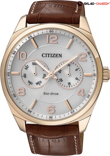 Citizen AO9024-16A фото