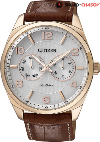 Citizen AO9024-16A фото