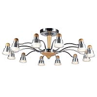 Люстра Lucia Tucci Natura 159.12 фото