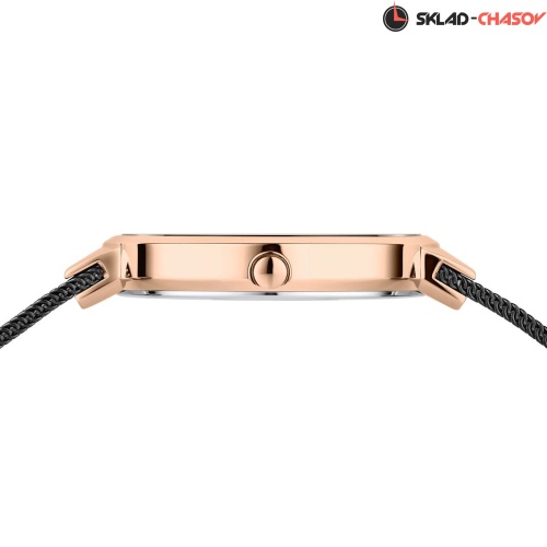 Женские Bering Classic 14531-166 фото фото 9