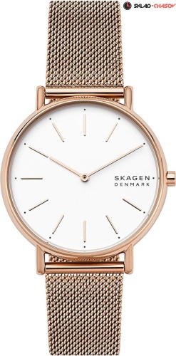 Женские Skagen Signatur SKW2784 фото