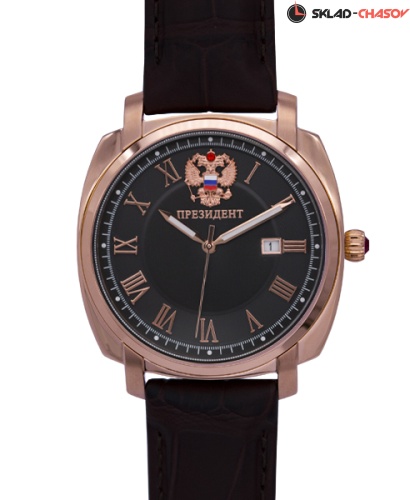 Президент 9119122 фото