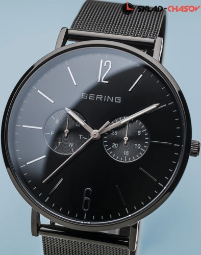 Мужские Bering Classic 14240-223 фото фото 2