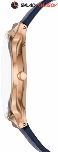 Женские Skagen Leather SKW2706 фото фото 2