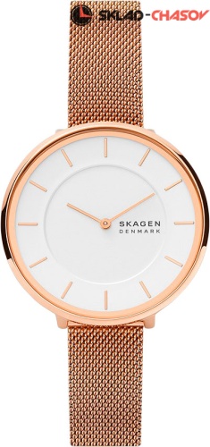 SkagenSKW3013 фото
