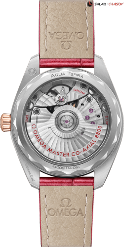 Часы Omega Seamaster Aqua Terra 220.23.34.20.60.001  фото фото 2