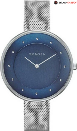 Женские Skagen Mesh SKW2293 фото