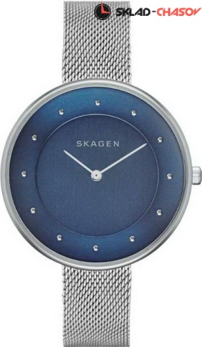 Женские Skagen Mesh SKW2293 фото