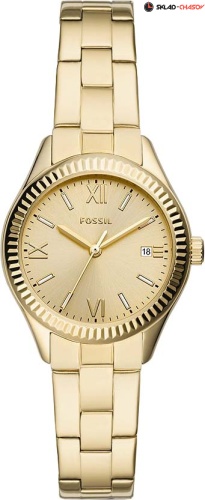 Fossil Rye BQ3638 фото