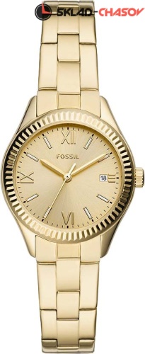 Fossil Rye BQ3638 фото