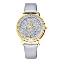 Наручные часы F. Gattien HH011A-113 сер. фото