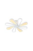 Lucia Tucci Miracoli 201.8 LED фото