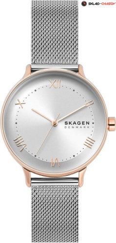 Женские Skagen Nillson SKW2876 фото