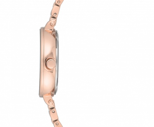 Anne Klein 3386LGRG фото фото 3