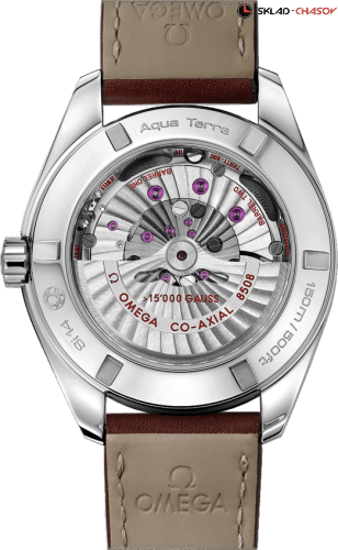 Omega 23112422101001 фото