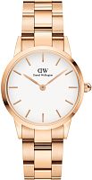 Daniel Wellington DW00100213 фото