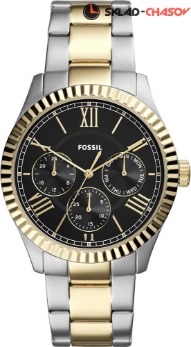 Fossil Chapman FS5630 фото