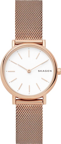 Женские Skagen Signatur SKW2694 фото