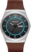 Мужские Skagen LEATHER SKW6305 фото
