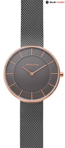 Женские Skagen Mesh SKW2584 фото