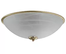 Lucia Tucci SESTO 177.3 R40 фото