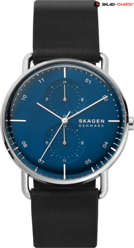 Мужские Skagen Horizont SKW6702 фото