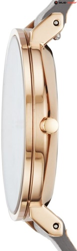 Женские Skagen Leather SKW2674 фото фото 2