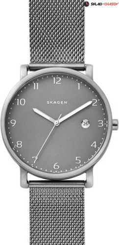 Мужские Skagen Mesh SKW6307 фото