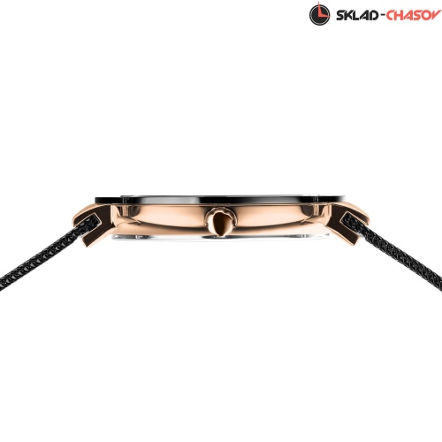 Женские Bering Ceramic 11435-166 фото фото 6