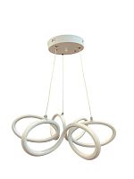 Подвесной светодиодный светильник Arti Lampadari L383a-tt55-g фото