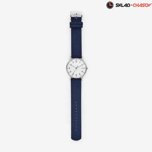 Мужские Skagen Nylon SKW6356 фото фото 2