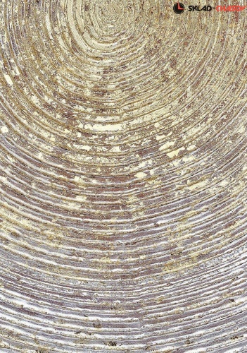 Панно Tomas Stern 87057 фото фото 3