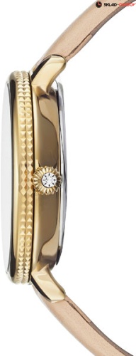 Наручные часы Ted Baker 10031530 фото фото 3