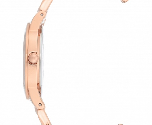 Anne Klein 3610RGPK фото фото 4