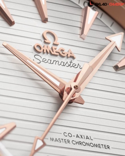 часы Omega Seamaster Aqua Terra 220.20.41.21.02.001 фото фото 4