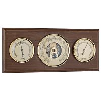 Tomas Stern 2024 фото