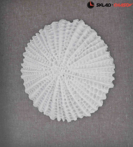 Панно Tomas Stern 83055 фото фото 8