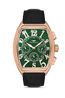 Наручные часы FERRO FM11447BWT-R10 фото