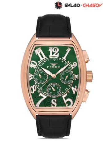 Наручные часы FERRO FM11447BWT-R10 фото