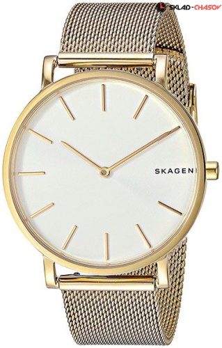 Мужские Skagen Mesh SKW6443 фото