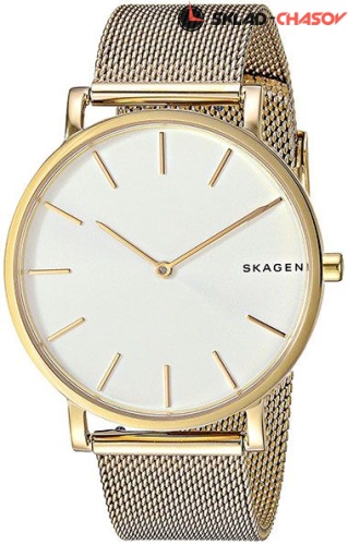 Мужские Skagen Mesh SKW6443 фото