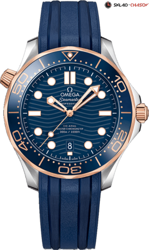 Omega 21022422003002 фото