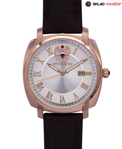 Президент 9119121 фото