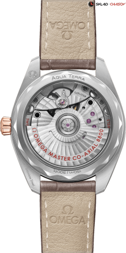 Часы Omega Seamaster Aqua Terra 220.23.34.20.06.001  фото фото 2