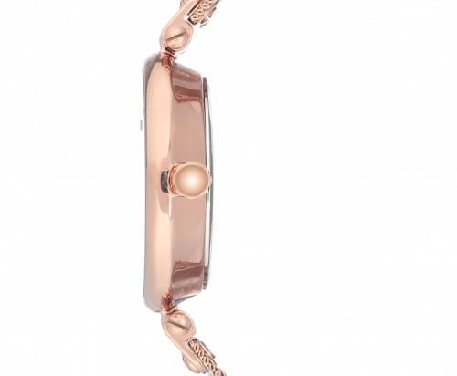 Anne Klein 3000BYRG фото фото 3